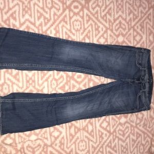 Blue Sliver Eden jeans flared bottoms